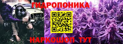 спиды Камышлов