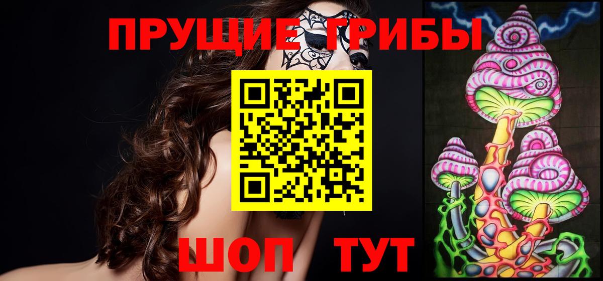 Королёв  Галлюциногенные грибы мицелий  как найти закладки  Галлюциногенные грибы прущие грибы  Вход с VPN 
