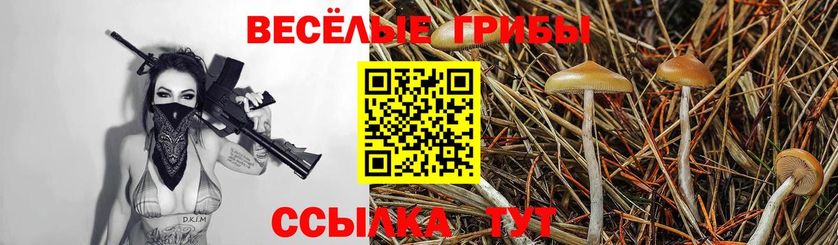 Псилоцибиновые грибы прущие грибы Королёв