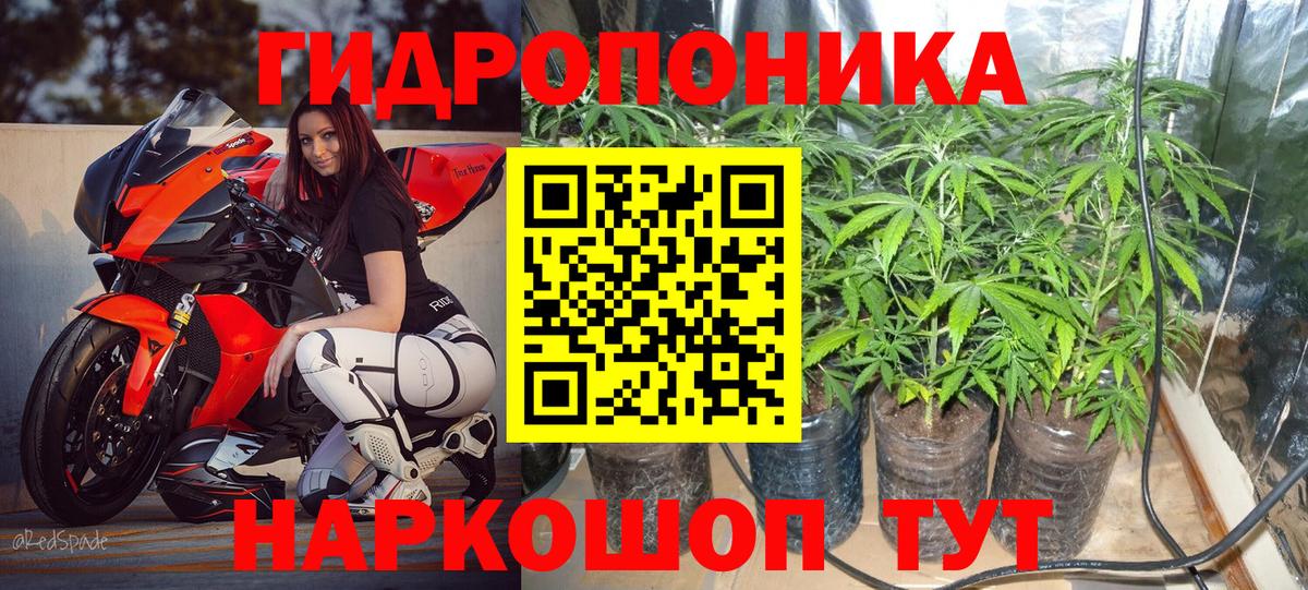 Конопля SATIVA & INDICA Королёв